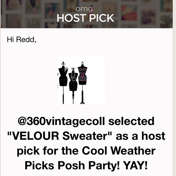 💖HP💖VELOUR Sweater - Picture 6 of 6